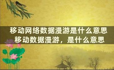 移动网络数据漫游是什么意思 移动数据漫游，是什么意思